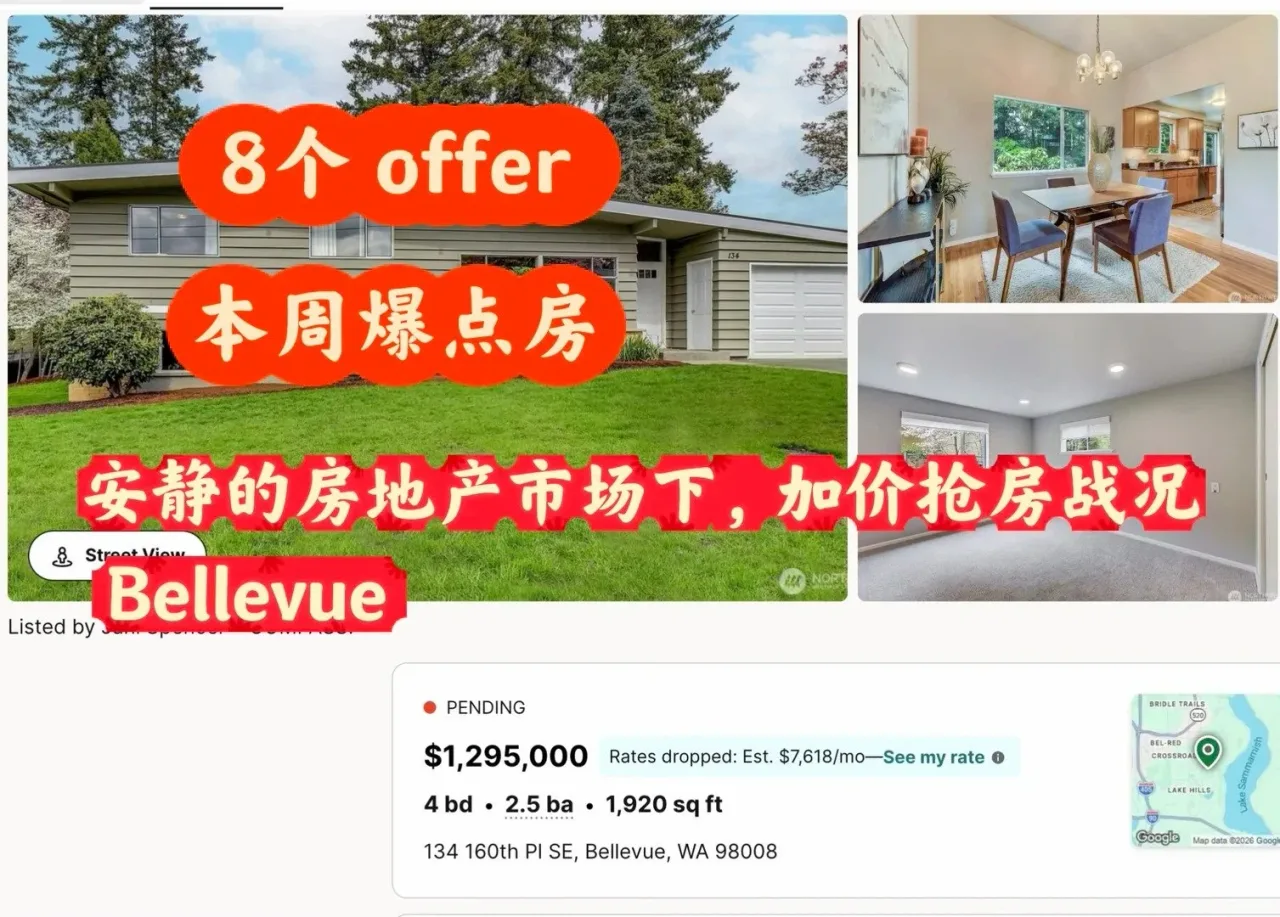 Bellevue 现场直击:8个竞标!这种房子