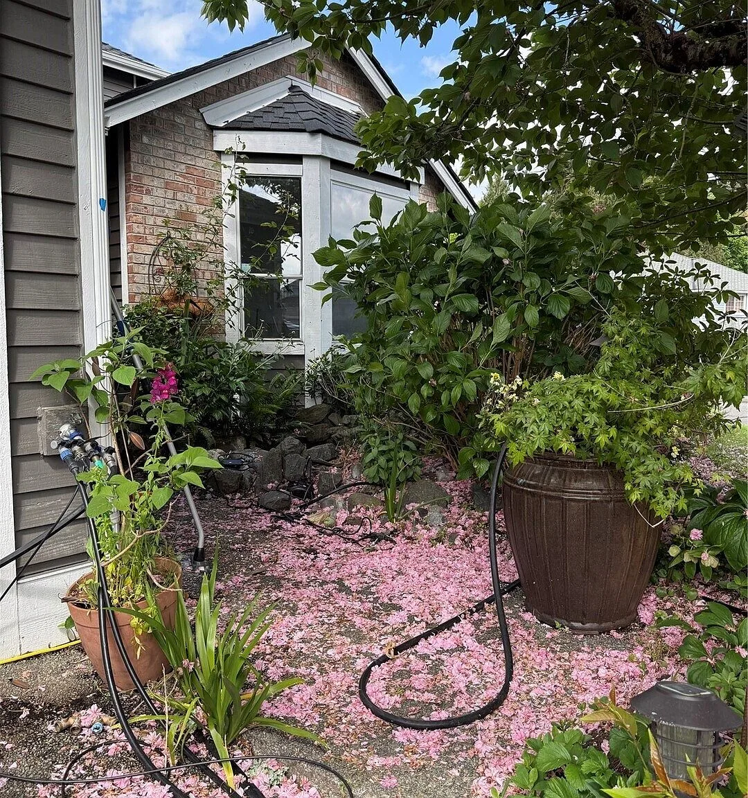 5202 NE 18th Court, Renton, WA 98059